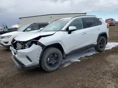 2T3DWRFV1RW229366 2024 TOYOTA RAV 4