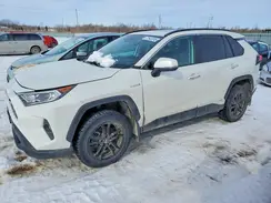 2T3DWRFV2MW114445 2021 TOYOTA RAV 4