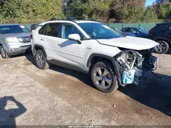 2T3DWRFV3KW033998 2019 TOYOTA RAV 4