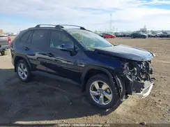 2T3DWRFV3LW095452 2020 TOYOTA RAV 4