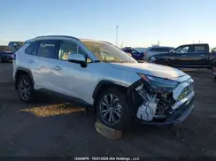 2T3DWRFV3RW213492 2024 TOYOTA RAV 4