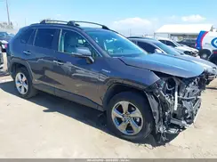 2T3DWRFV4KW034075 2019 TOYOTA RAV 4