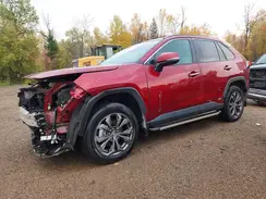2T3DWRFV4PW155860 2023 TOYOTA RAV 4