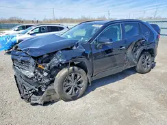 2T3DWRFV4RW205241 2024 TOYOTA RAV 4