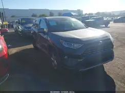 2T3DWRFV7KW006061 2019 TOYOTA RAV 4