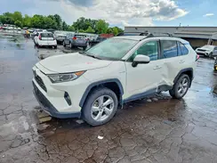 2T3DWRFV8LW066335 2020 TOYOTA RAV 4