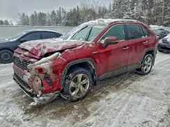 2T3DWRFV8MW119990 2021 TOYOTA RAV 4