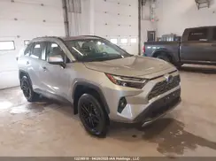 2T3DWRFV8PW169132 2023 TOYOTA RAV 4