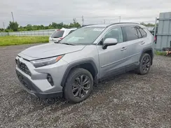 2T3DWRFV8RW250408 2024 TOYOTA RAV 4