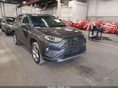 2T3DWRFVXKW031567 2019 TOYOTA RAV 4