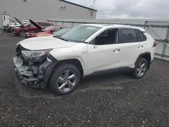 2T3DWRFVXLW052890 2020 TOYOTA RAV 4