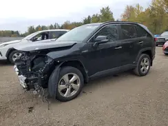 2T3DWRFVXMW106576 2021 TOYOTA RAV 4