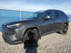 2T3DWRFVXRW186534 2024 TOYOTA RAV 4