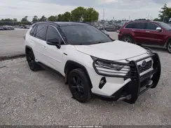 2T3E6RFV0MW007009 2021 TOYOTA RAV 4