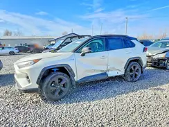 2T3E6RFV0MW009813 2021 TOYOTA RAV 4