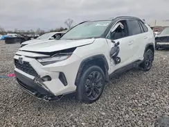 2T3E6RFV0RW065533 2024 TOYOTA RAV 4