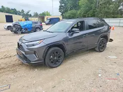 2T3E6RFV1PW041917 2023 TOYOTA RAV 4