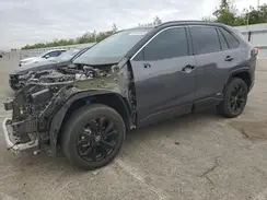 2T3E6RFV1RW059403 2024 TOYOTA RAV 4