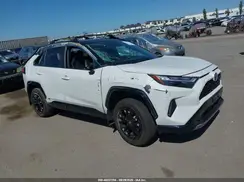 2T3E6RFV1RW066061 2024 TOYOTA RAV 4