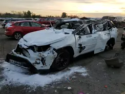 2T3E6RFV1RW083538 2024 TOYOTA RAV 4