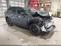 2T3E6RFV2PW042025 2023 TOYOTA RAV 4