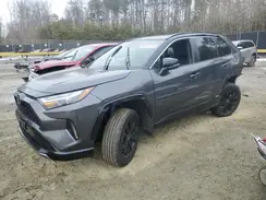 2T3E6RFV2PW046558 2023 TOYOTA RAV 4