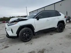 2T3E6RFV2RW056431 2024 TOYOTA RAV 4