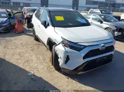 2T3E6RFV3PW041661 2023 TOYOTA RAV 4