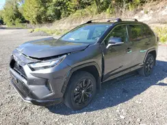 2T3E6RFV3RW051187 2024 TOYOTA RAV 4