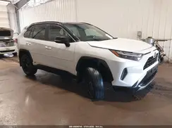 2T3E6RFV3RW064375 2024 TOYOTA RAV 4