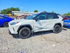 2T3E6RFV3RW076574 2024 TOYOTA RAV 4