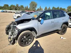 2T3E6RFV3RW080981 2024 TOYOTA RAV 4