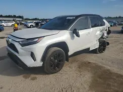 2T3E6RFV4RW068452 2024 TOYOTA RAV 4