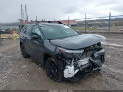 2T3E6RFV5PW046344 2023 TOYOTA RAV 4