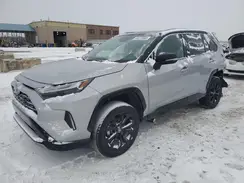 2T3E6RFV5RW051790 2024 TOYOTA RAV 4