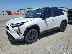 2T3E6RFV5RW060909 2024 TOYOTA RAV 4