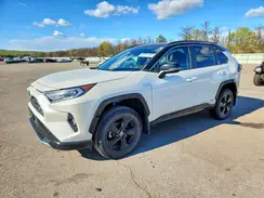2T3E6RFV6MW020704 2021 TOYOTA RAV 4