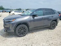 2T3E6RFV6PW040309 2023 TOYOTA RAV 4