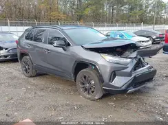 2T3E6RFV6PW041444 2023 TOYOTA RAV 4