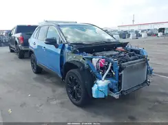 2T3E6RFV6PW043968 2023 TOYOTA RAV 4
