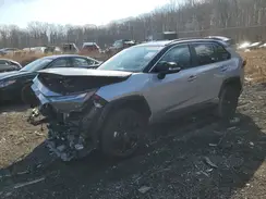 2T3E6RFV6RW053905 2024 TOYOTA RAV 4