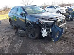 2T3E6RFV6RW062796 2024 TOYOTA RAV 4