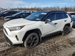 2T3E6RFV7MW016659 2021 TOYOTA RAV 4