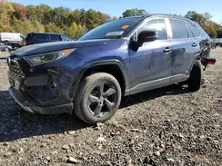 2T3E6RFV7MW020730 2021 TOYOTA RAV 4
