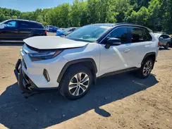 2T3E6RFV7PW038830 2023 TOYOTA RAV 4