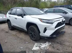 2T3E6RFV7PW041310 2023 TOYOTA RAV 4