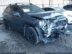 2T3E6RFV7RW067490 2024 TOYOTA RAV 4
