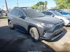 2T3E6RFV8MW006805 2021 TOYOTA RAV 4