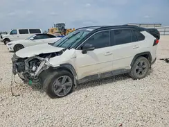 2T3E6RFV8MW010319 2021 TOYOTA RAV 4
