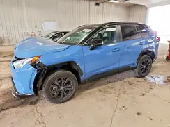 2T3E6RFV8PW040361 2023 TOYOTA RAV 4